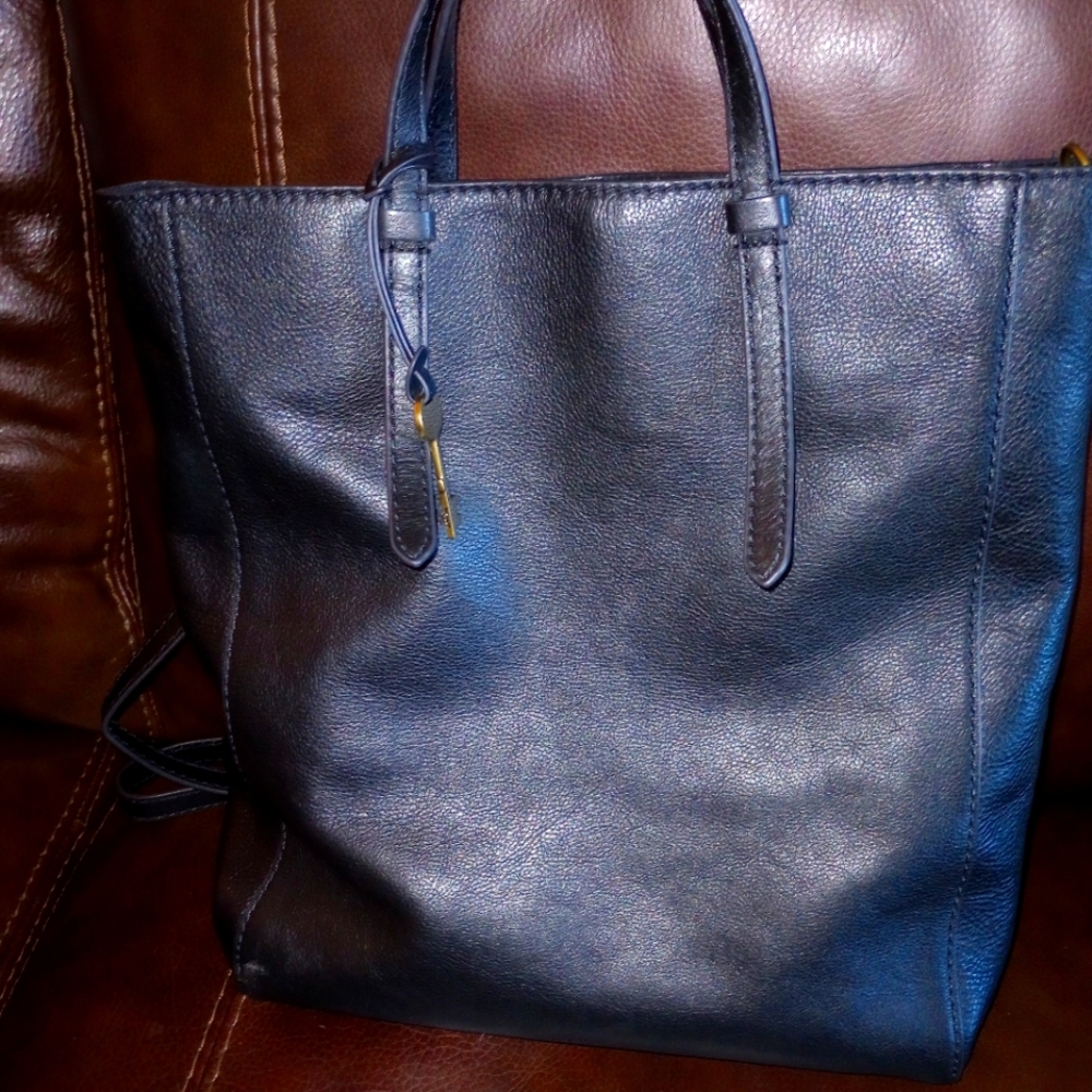 Fossil Camilla Leather Bag